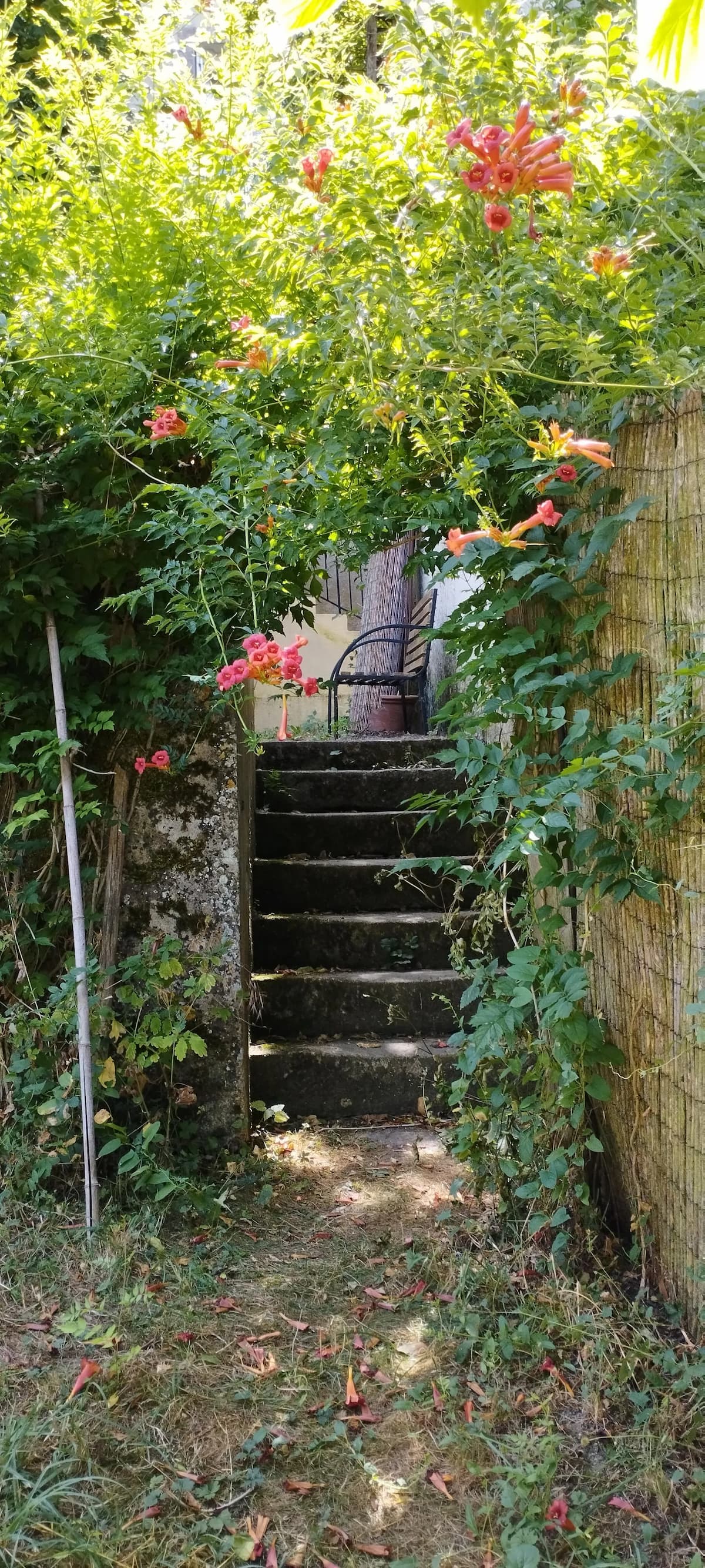 Maison de campagne, charme et art 