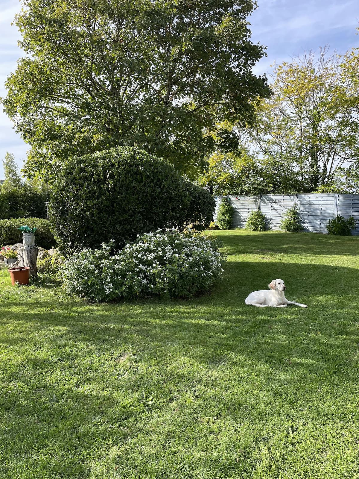 Maison de charme en pierre avec jardin