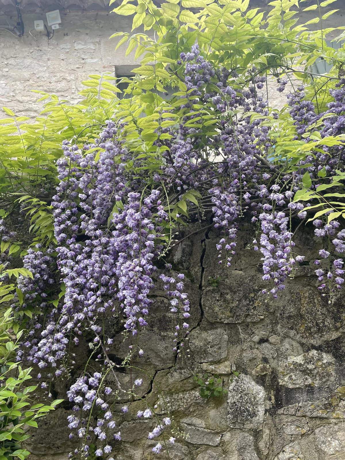 Maison de charme en pierre avec jardin