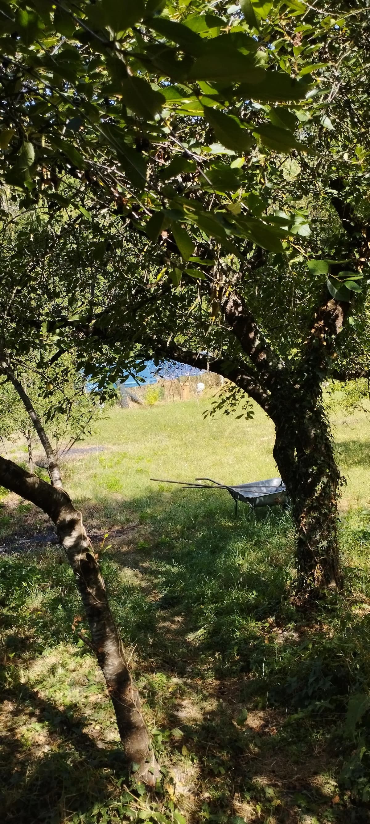 Maison de campagne, charme et art 